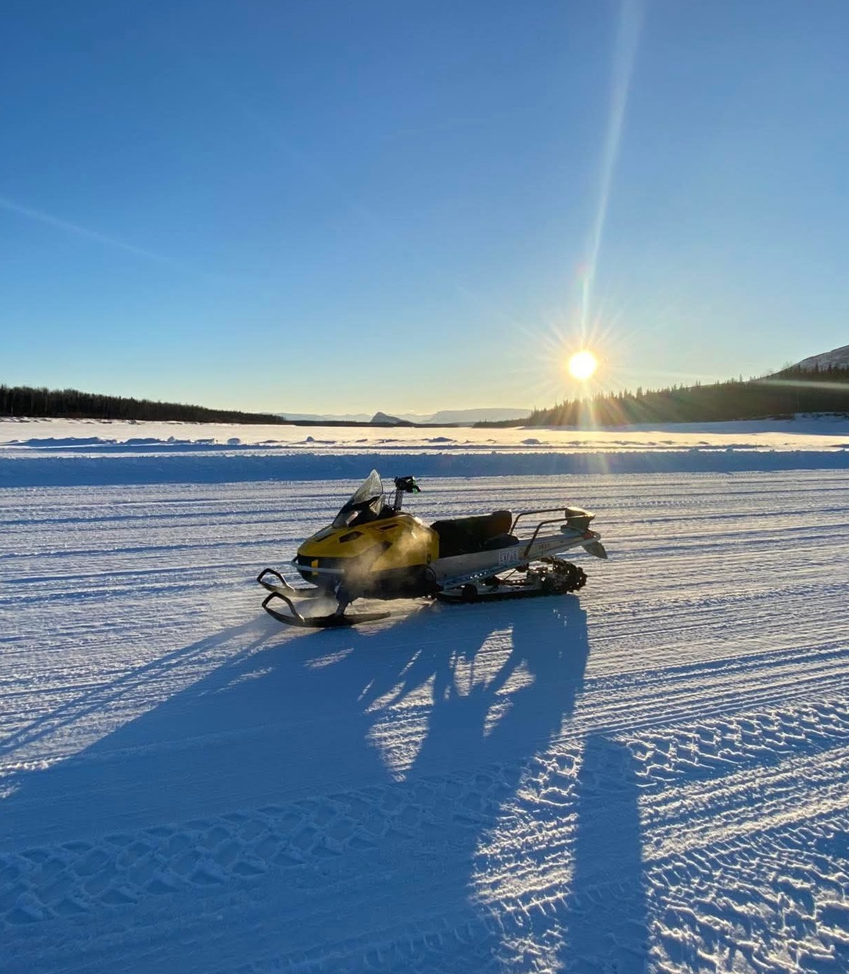 terrestrial geophysics